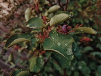 IMG_20210804_193502-01