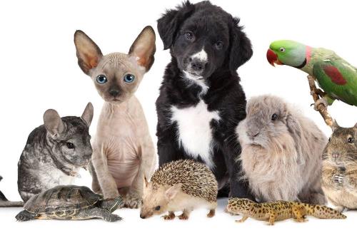 c3837a55732ae95706e67183e248cefe