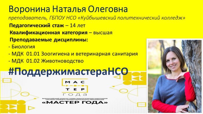 поддержи мастера