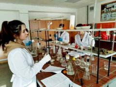 image-2022-03-13 12_55_32