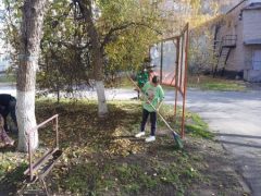 IMG-20231011-WA0040